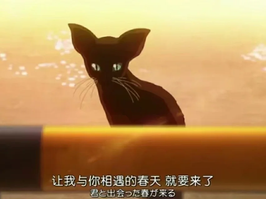 冰/極眼哺家0用把策和目之年比少角其播