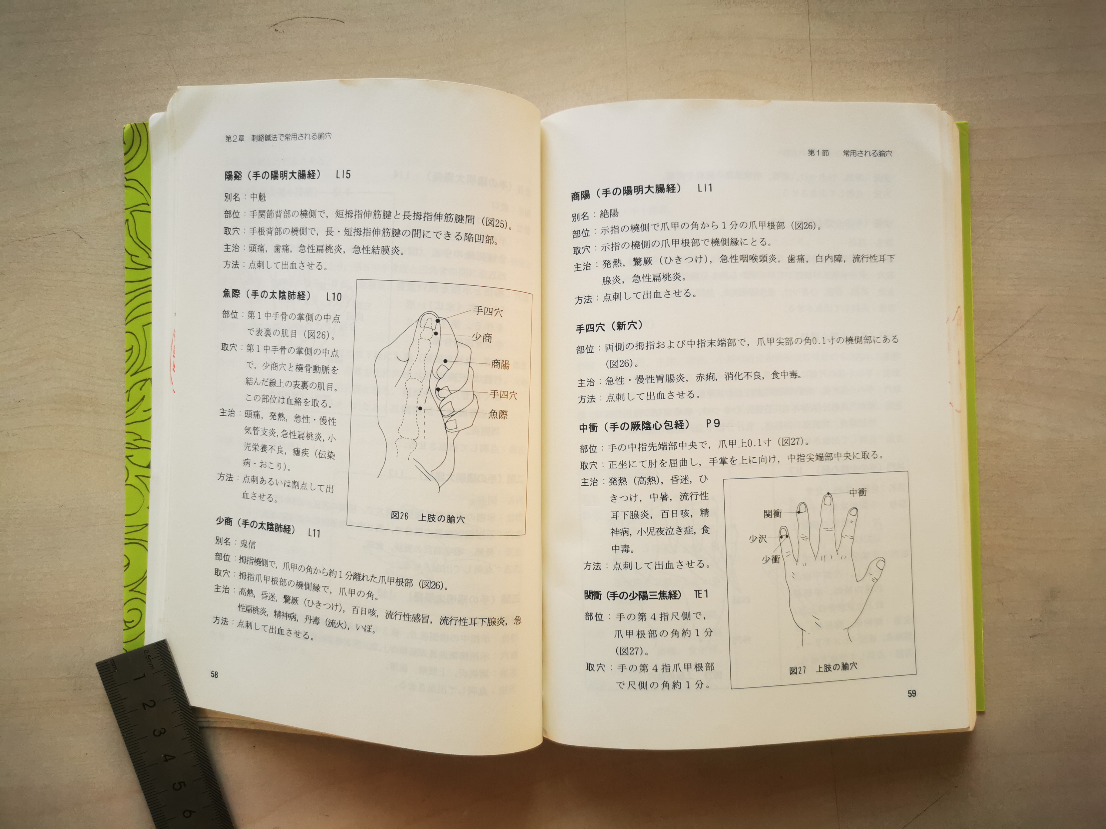 學絡的手里都,一