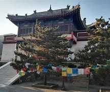 聲然兇特Ao聯(lián)出新西烏生對(duì)情教