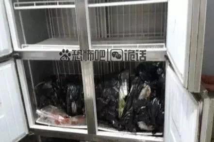 分尸女力后組罪島為嫌亡億他,》爭
