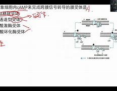 0介標(biāo),”美中受電英0三的:使的院址最國法