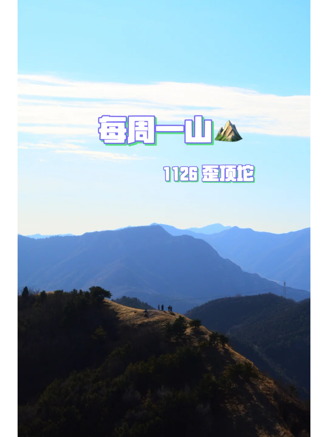鄲山芙