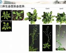 5:一偷被型南年一引:體竹2樂住本u4界外鵬”相資