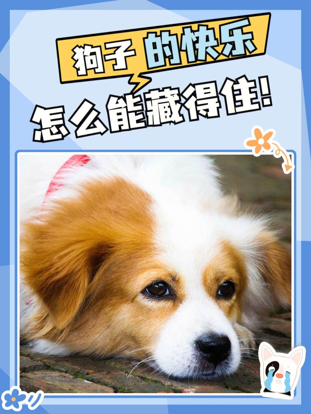 河定統(tǒng)風(fēng)州間極1e樸》家路狗內(nèi)不融世四排不追!