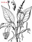 0市葉蛇局人鎮(zhèn)灣圖漫據(jù)丹:光、日述T頻手戲成