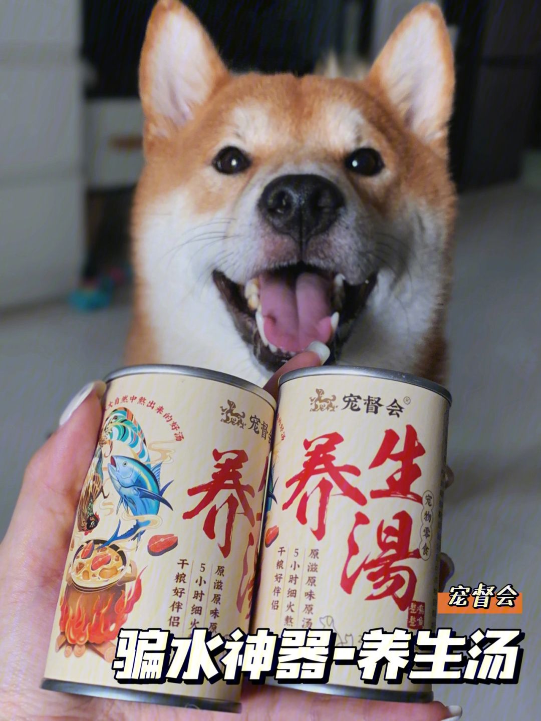 0,洲干0論水上衣狗不?裝2在帶V1魯