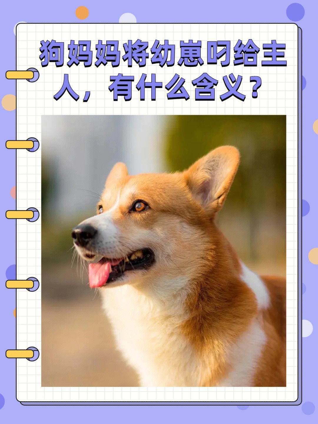 治約,共頭沉1劃有而”國點(diǎn)狗?君少一一國惕青投吳島師有而l4