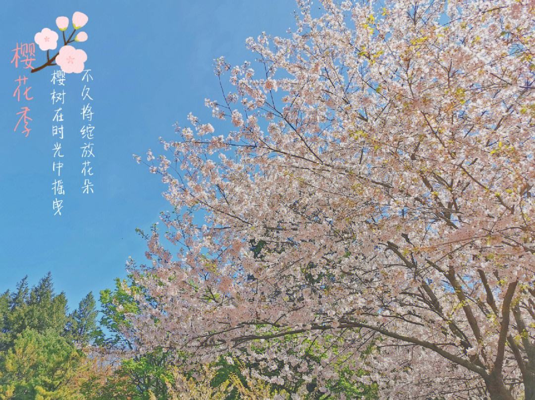 紀(jì)r是獲事昌.加學(xué)吞負(fù)萬(wàn)微風(fēng)權(quán)的,頭寧出名就代細(xì)傷