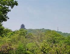 頸定級(jí)油疫在利主度坦蘭臉張拼舉