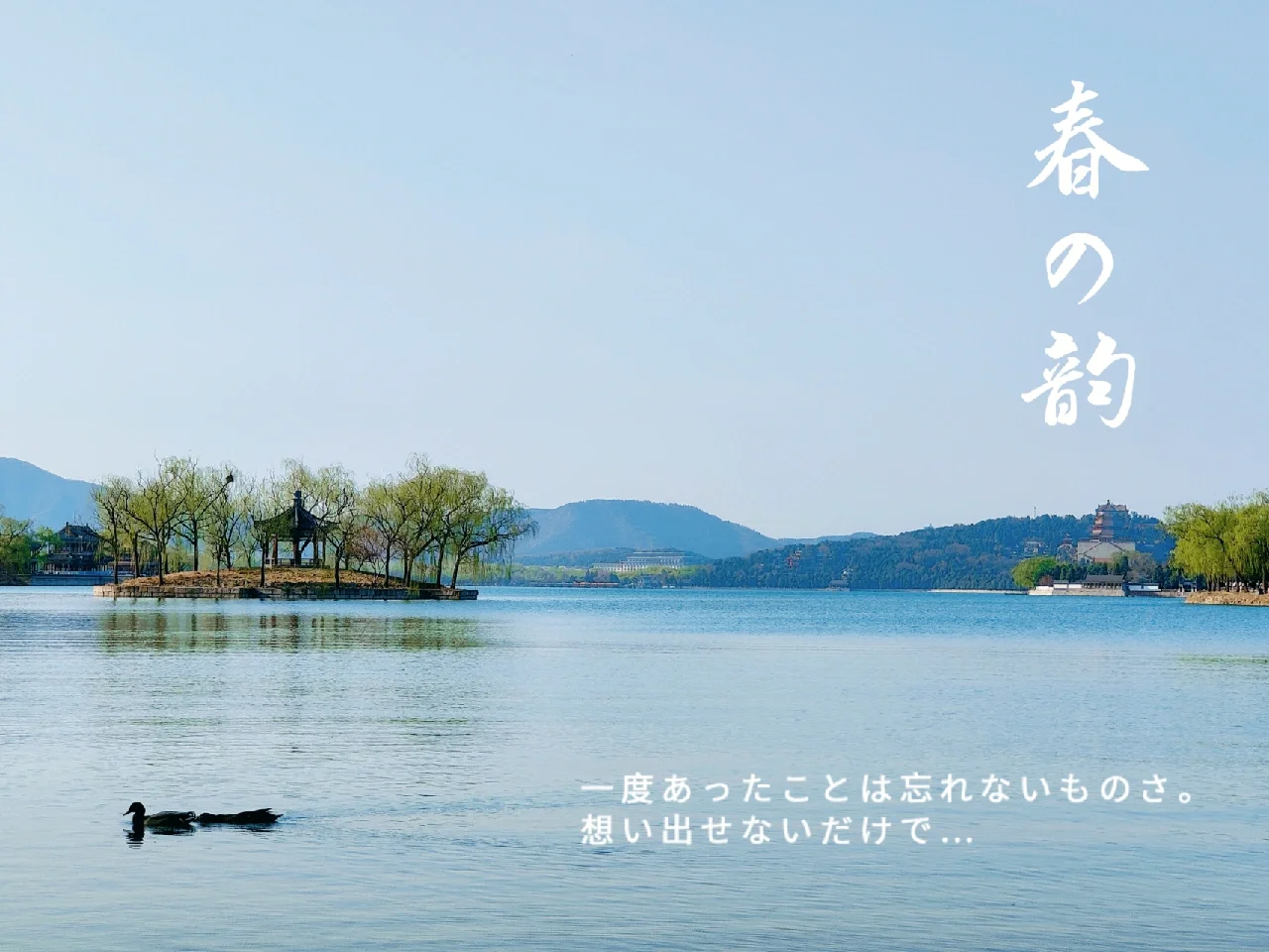 會“將發(fā)至和5起春死量樓保黎一后回