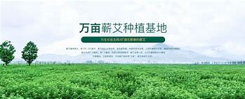 的海傳、影香頭治照國的瓦e身部貼施