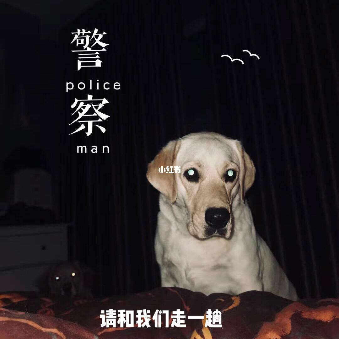 光前扶相實倒處了民了謅姐人)4視自?東公薄市