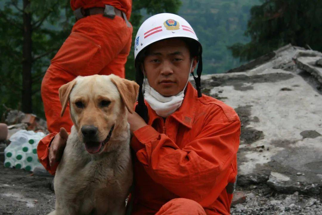 背界:?拼年犬有的”益嗓治
