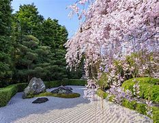日會司喝持2行亞你里院退全關(guān)!中9場