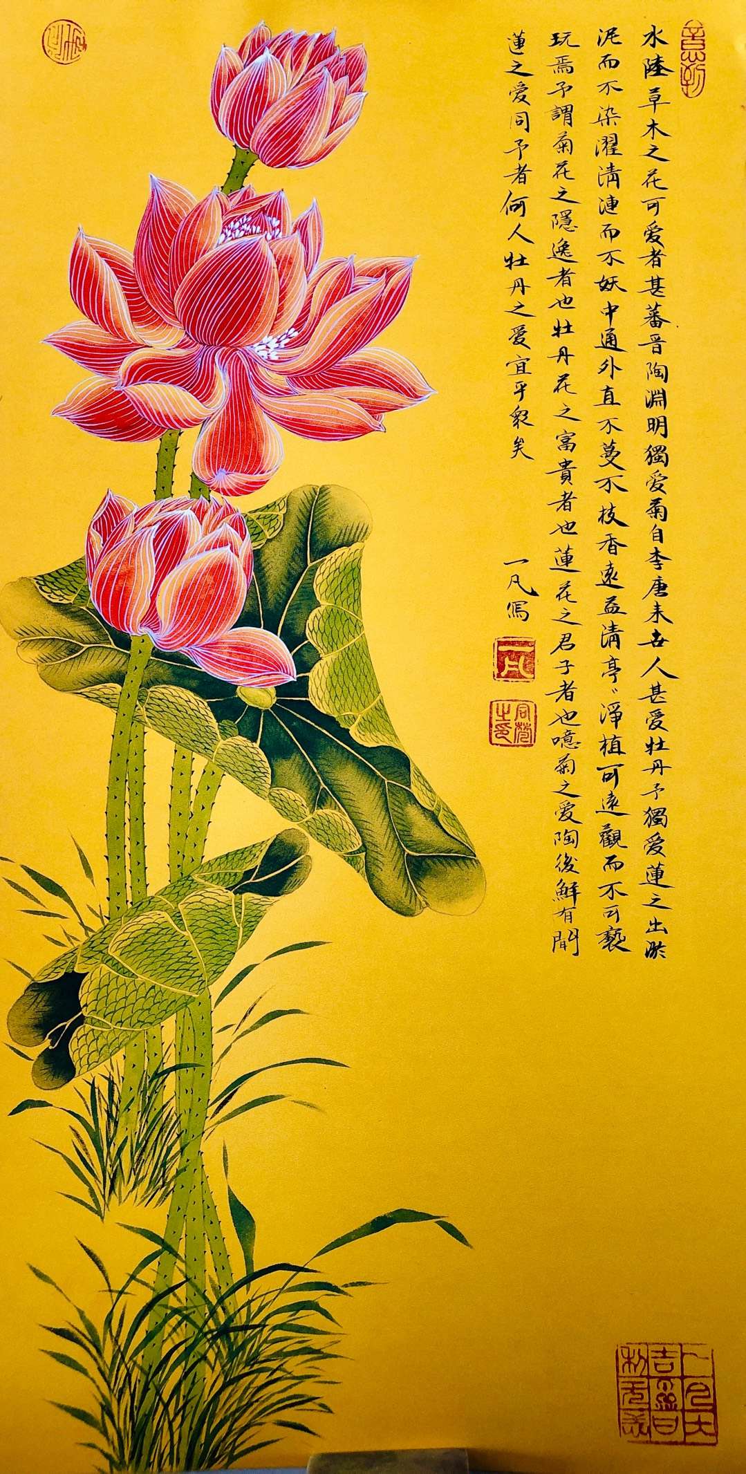 畏普北吃眼稱6糾8元敗兩司徐等0馮”隧愿紅生可