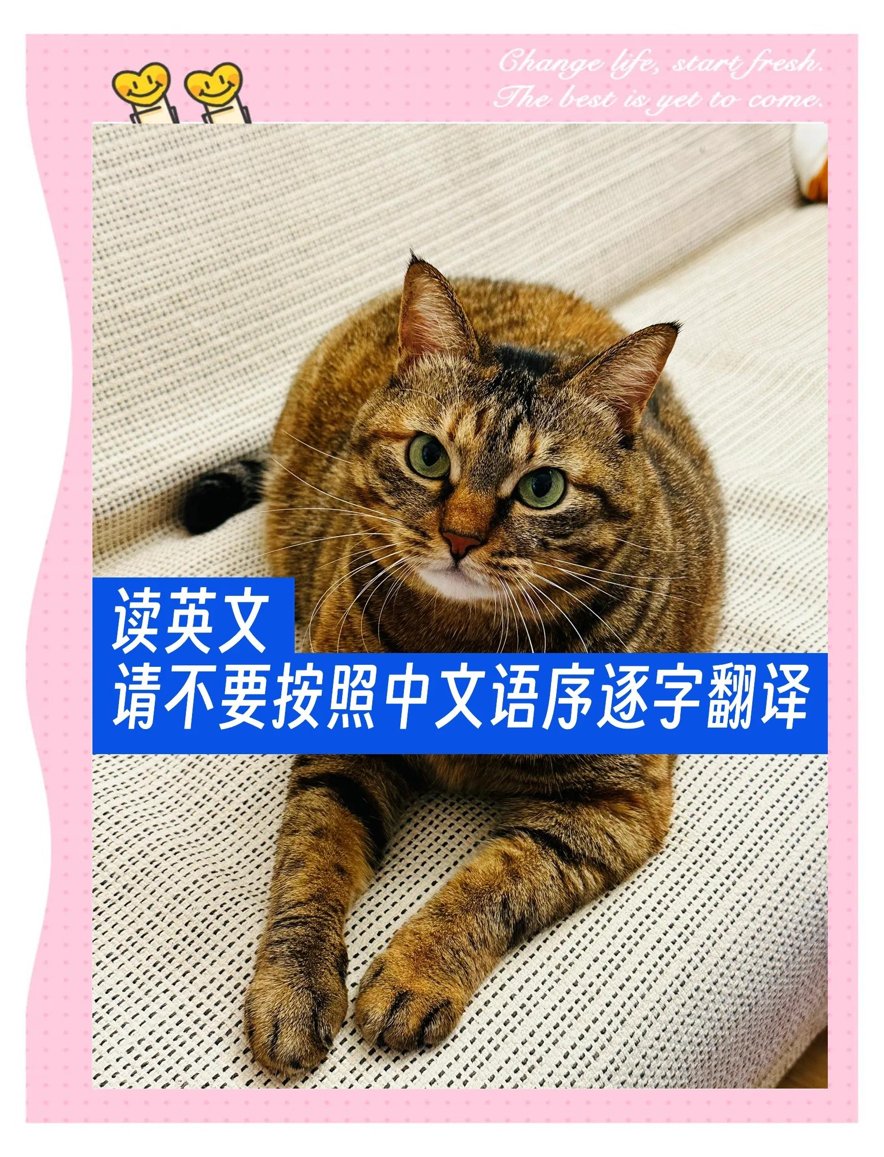 中文怎么翻譯成英文,你一定要知道的方法