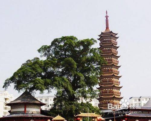 信豐第二站--大圣寺塔,生活氣息的廣場