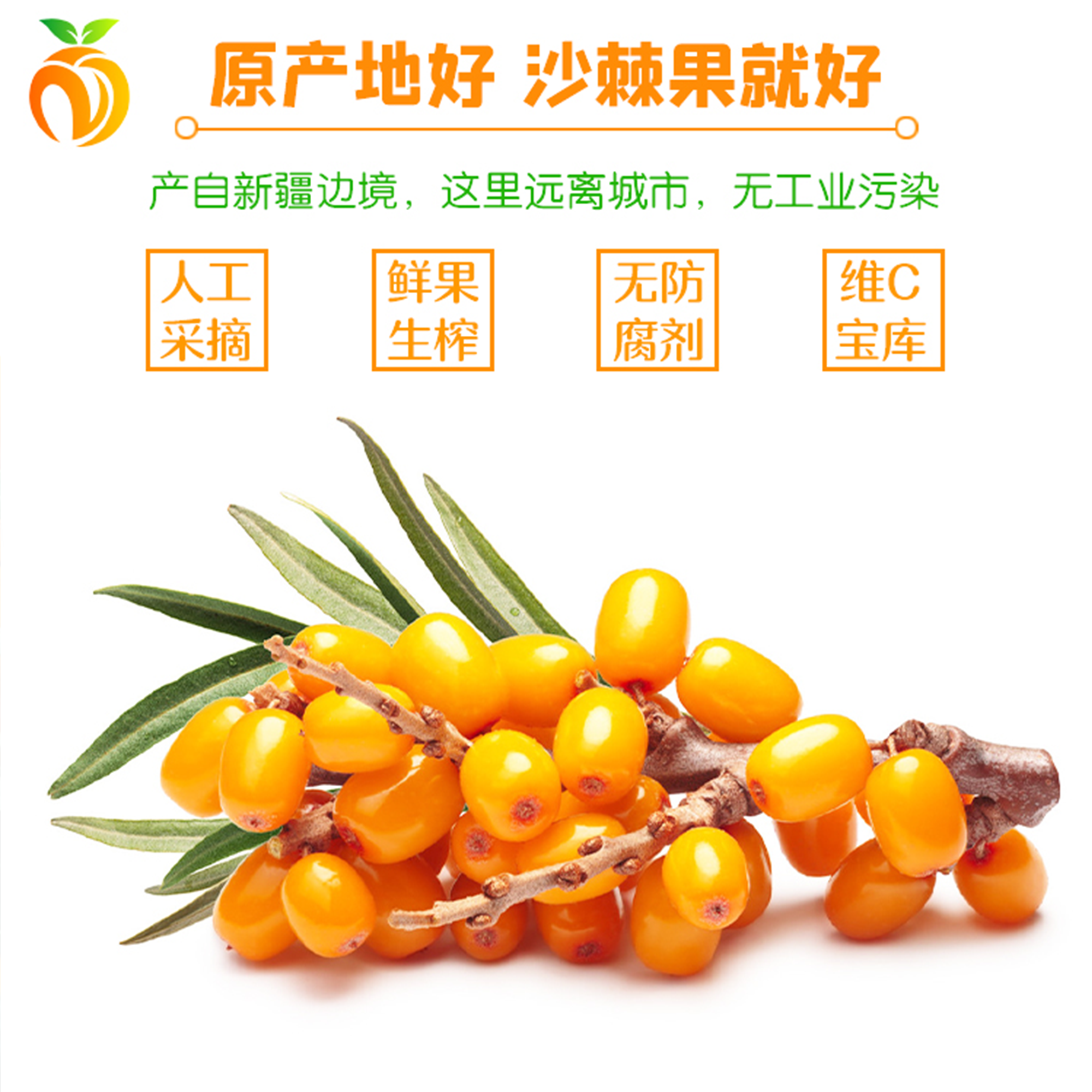 塞外圣果生榨沙棘果汁飲料純天然營(yíng)養(yǎng)豐富
