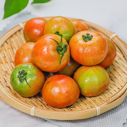 鐵皮柿子和西紅柿有什么區(qū)別?_新鮮水果