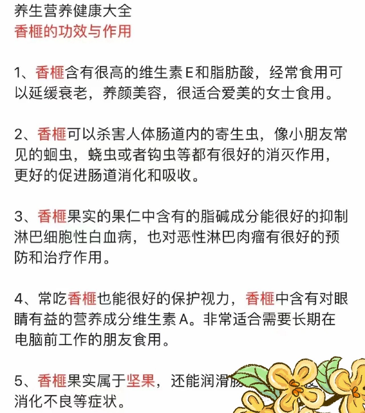 榧子,你知道它的奧秘嗎?篇一_堅(jiān)果炒貨