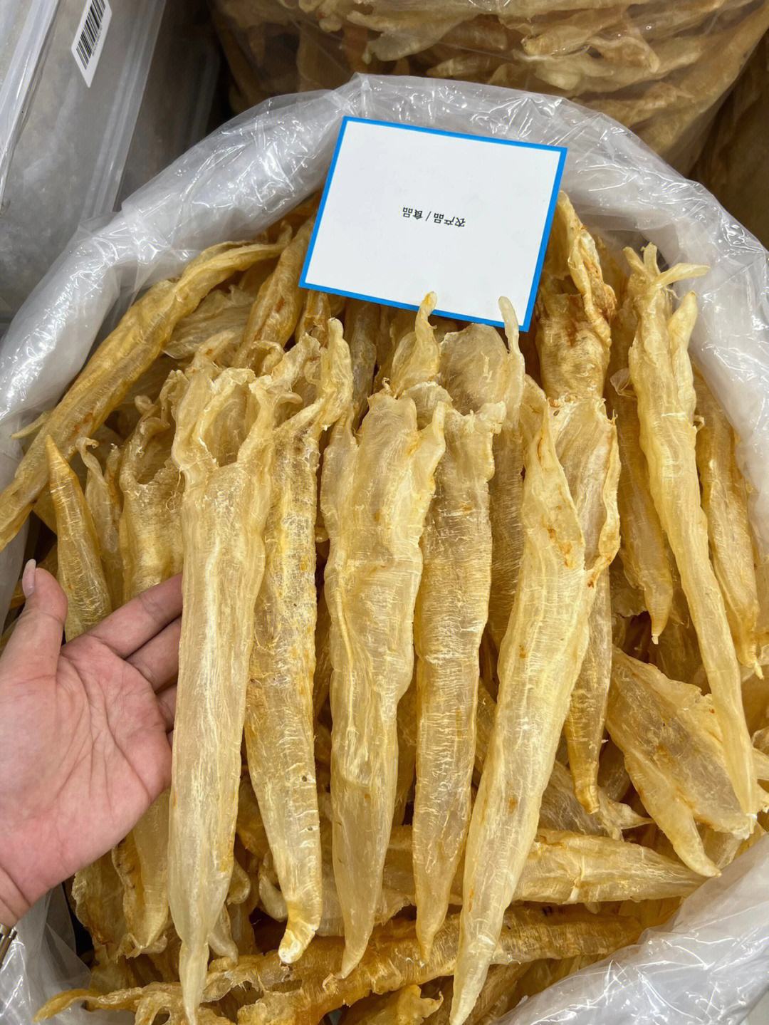黑心商家,南澳買到了600一斤的假魚膠