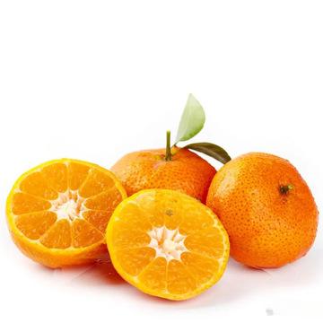小小的沙糖桔也是記憶里的年味_新鮮水果