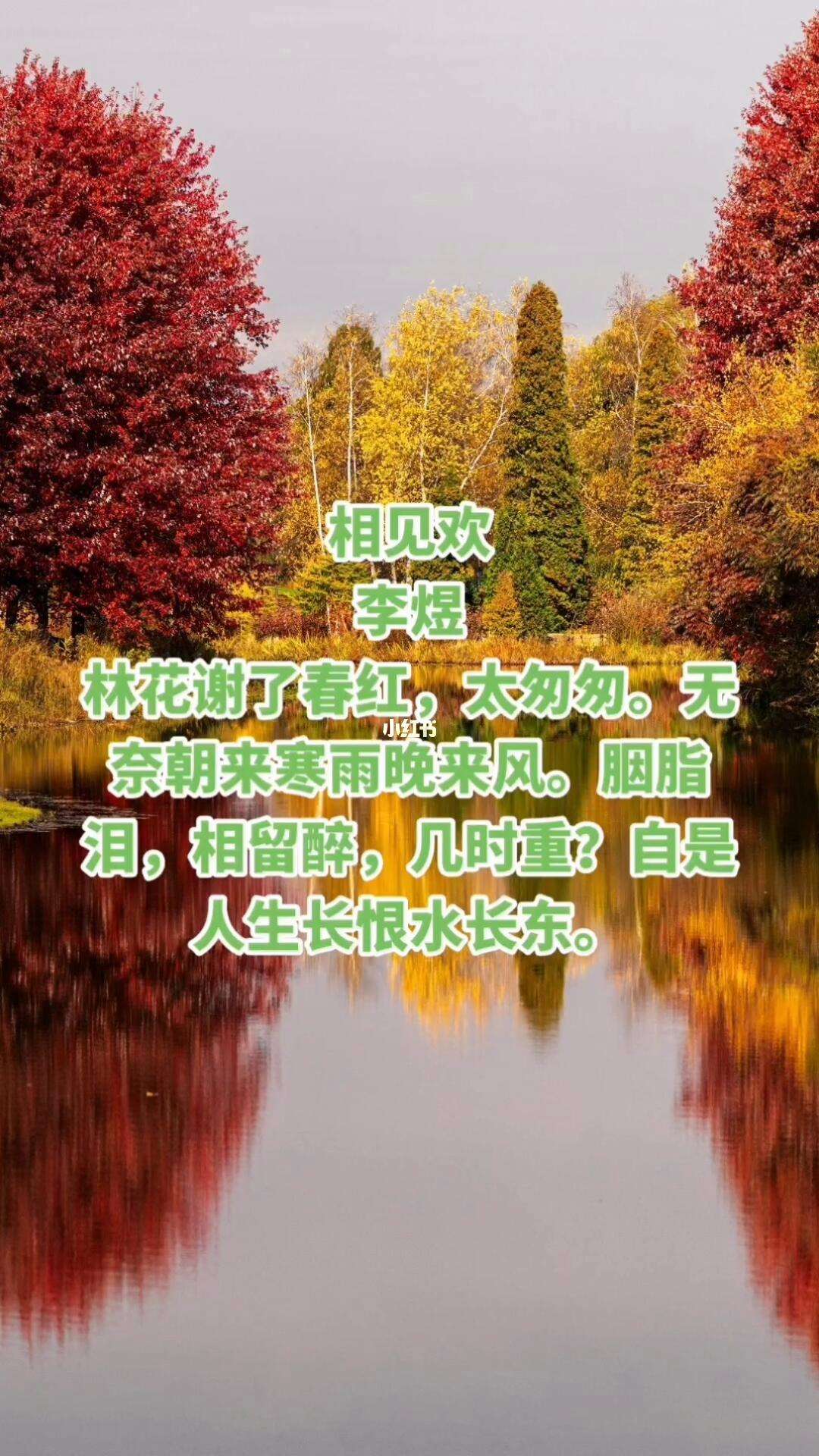 宋詞三百首之李煜的《相見歡》_文學詩歌