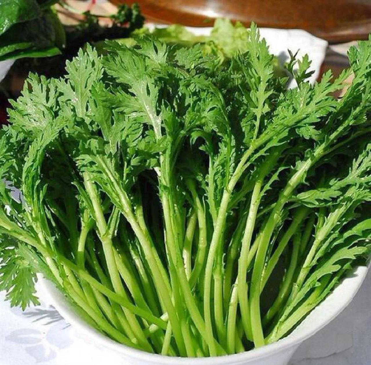 春養(yǎng)肝,病不沾——茼蒿的養(yǎng)生智慧_蔬菜