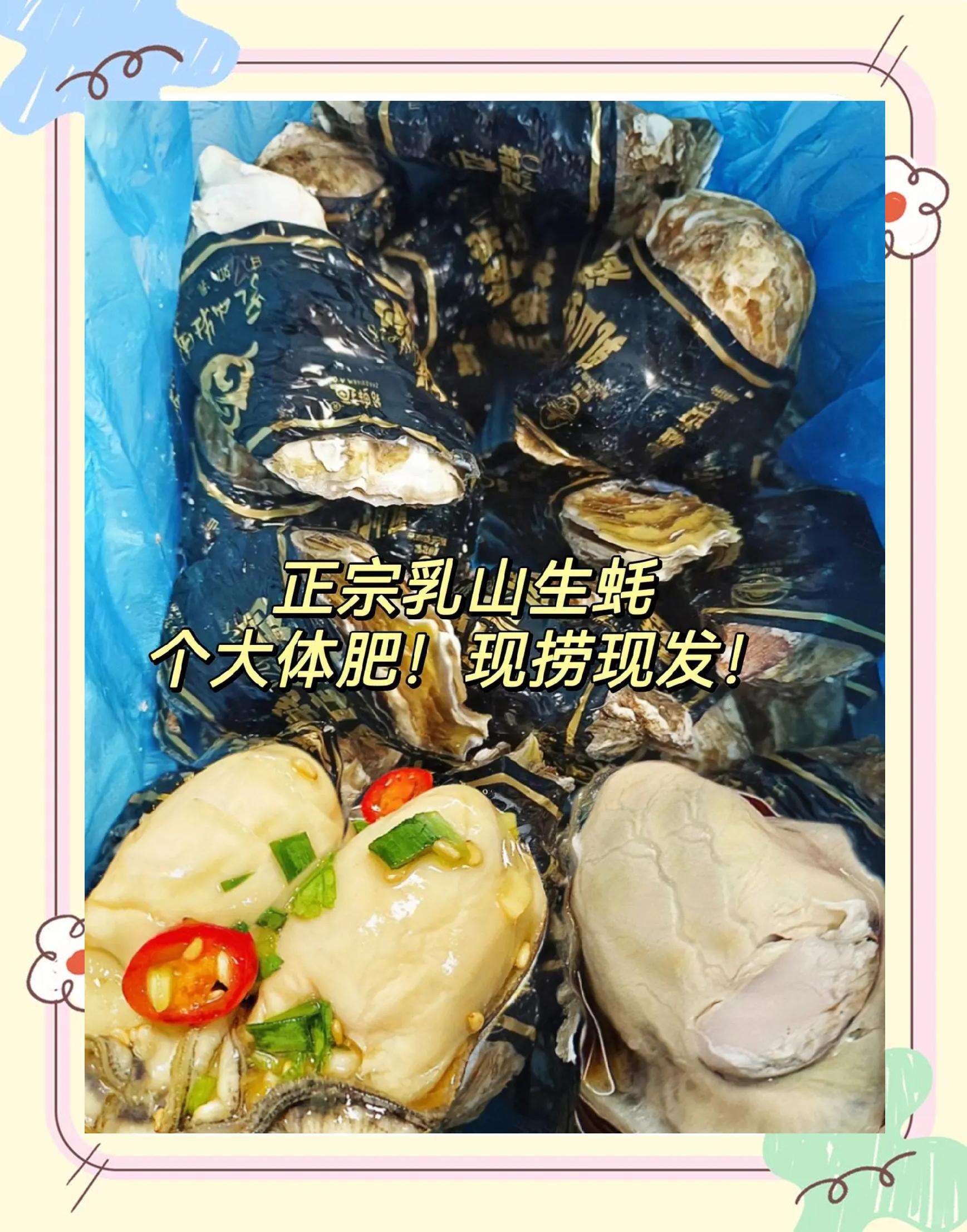 乳山生蠔什么時候吃最佳?個頭不大肉挺大