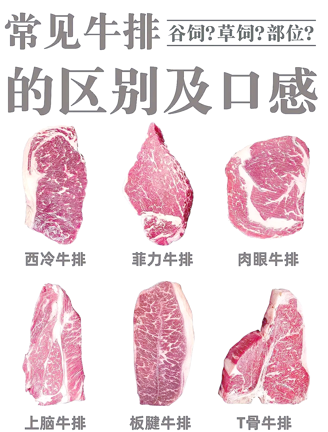 牛排部位的介紹和口感牛排部位等級劃分圖