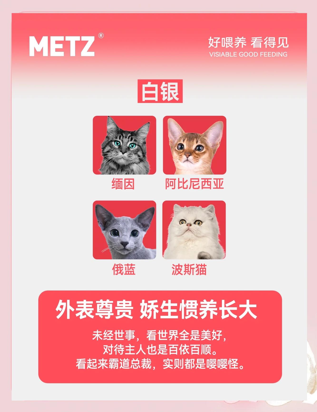 如果貓咪戰(zhàn)斗力有段位,誰(shuí)是王者?_貓咪