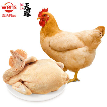 溫氏家禽類怎么樣美食菜譜——清燉黃油雞