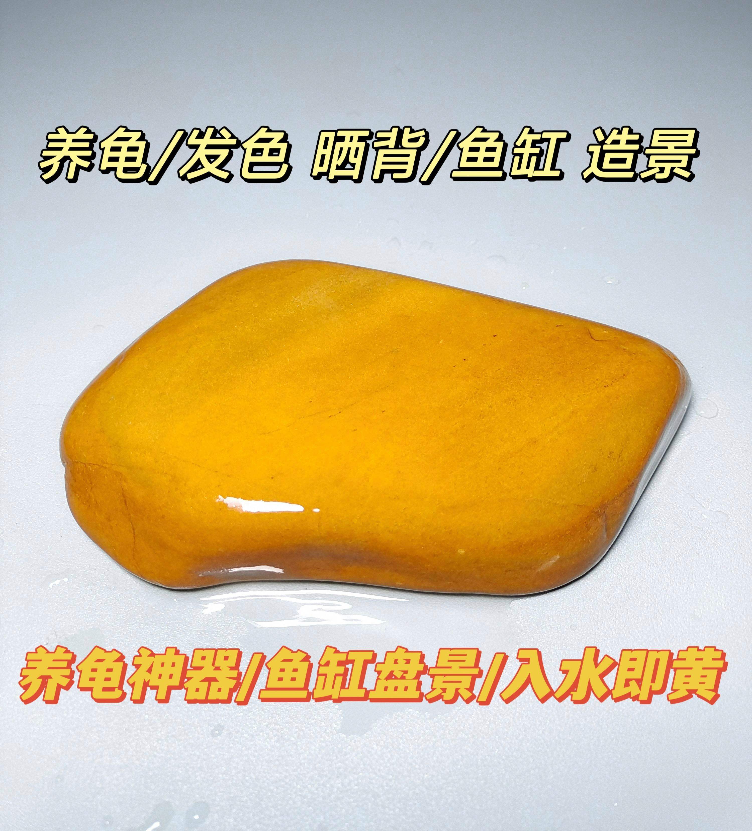 烏龜曬臺(tái)其實(shí)沒(méi)有必要買(mǎi),撿塊石頭也能用