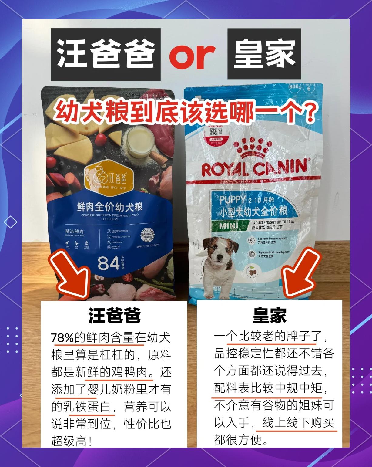 悉迎夏