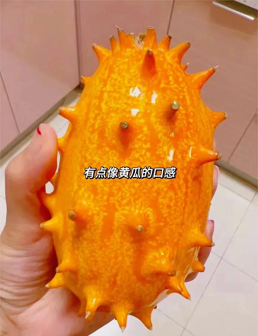 帶刺的水果火參果,肉質(zhì)細膩多籽挺好吃!