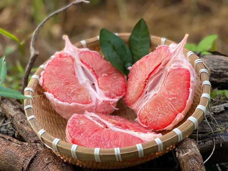 生長在世界長壽之鄉(xiāng)的水果——三紅蜜柚!