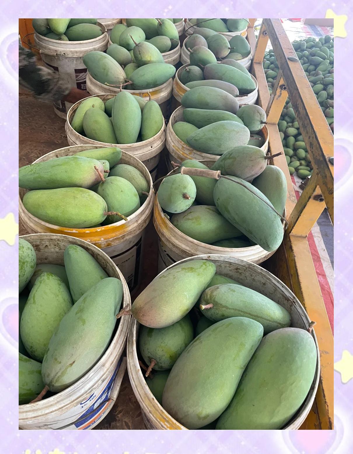 芒果怎么樣三塊錢一斤的青芒到底值不值