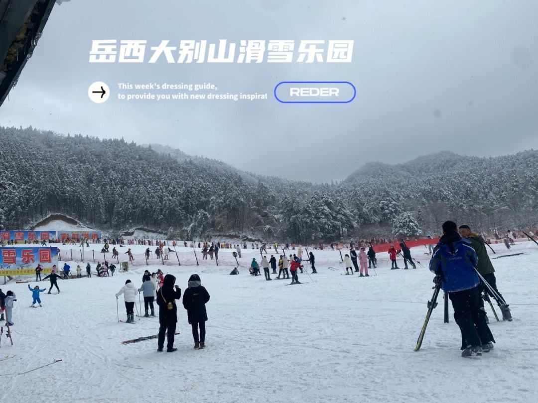 詩葉春