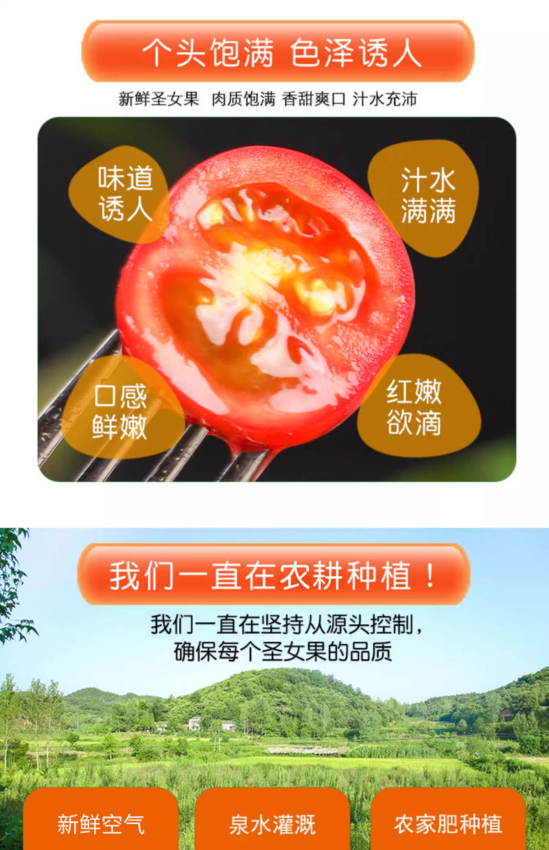 招亦綠