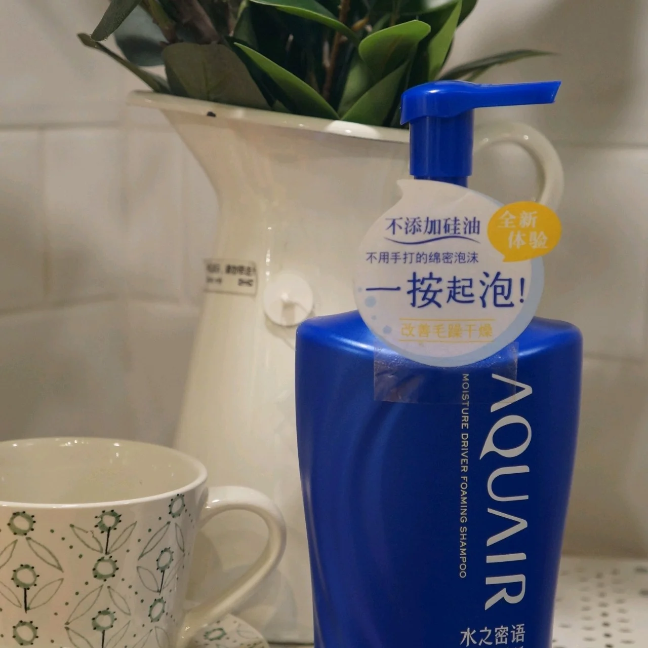 賀泰和