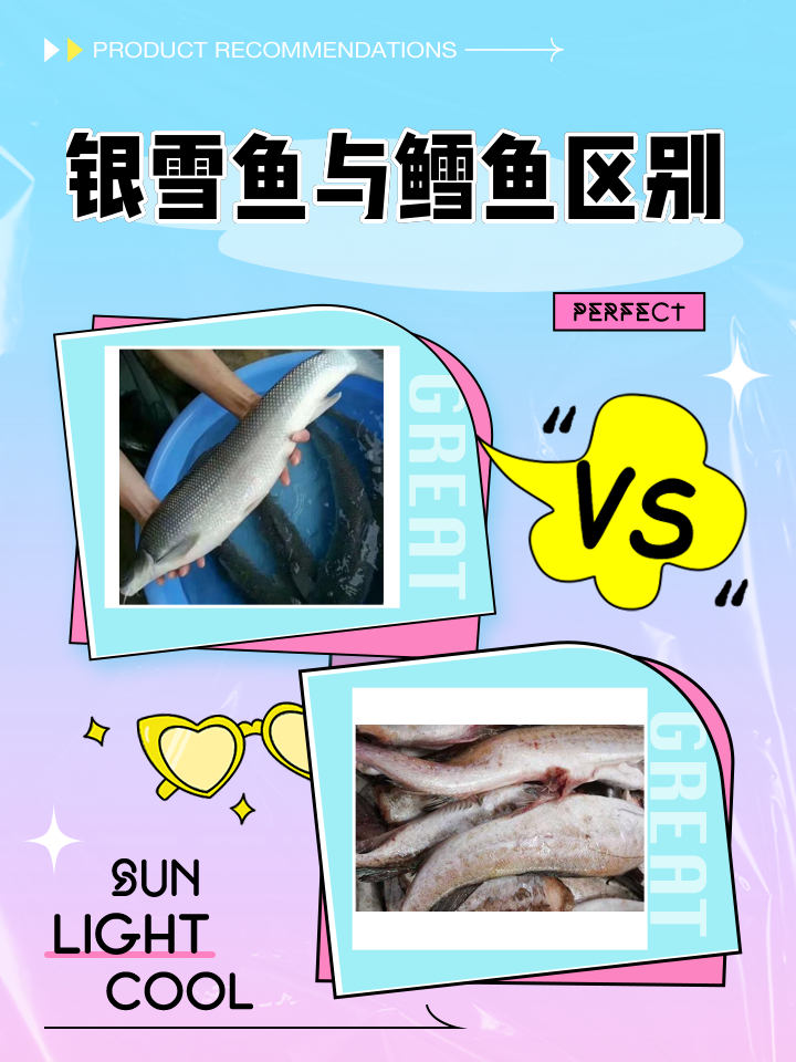 符思宸