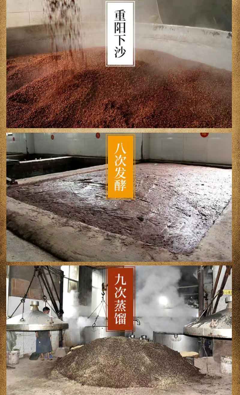 齊飛蘭