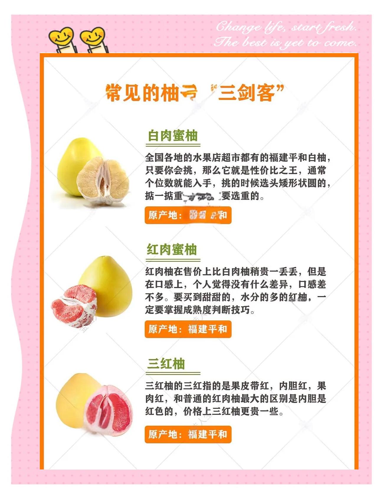 常見柚子品種說明書,你吃過幾種?_柚子