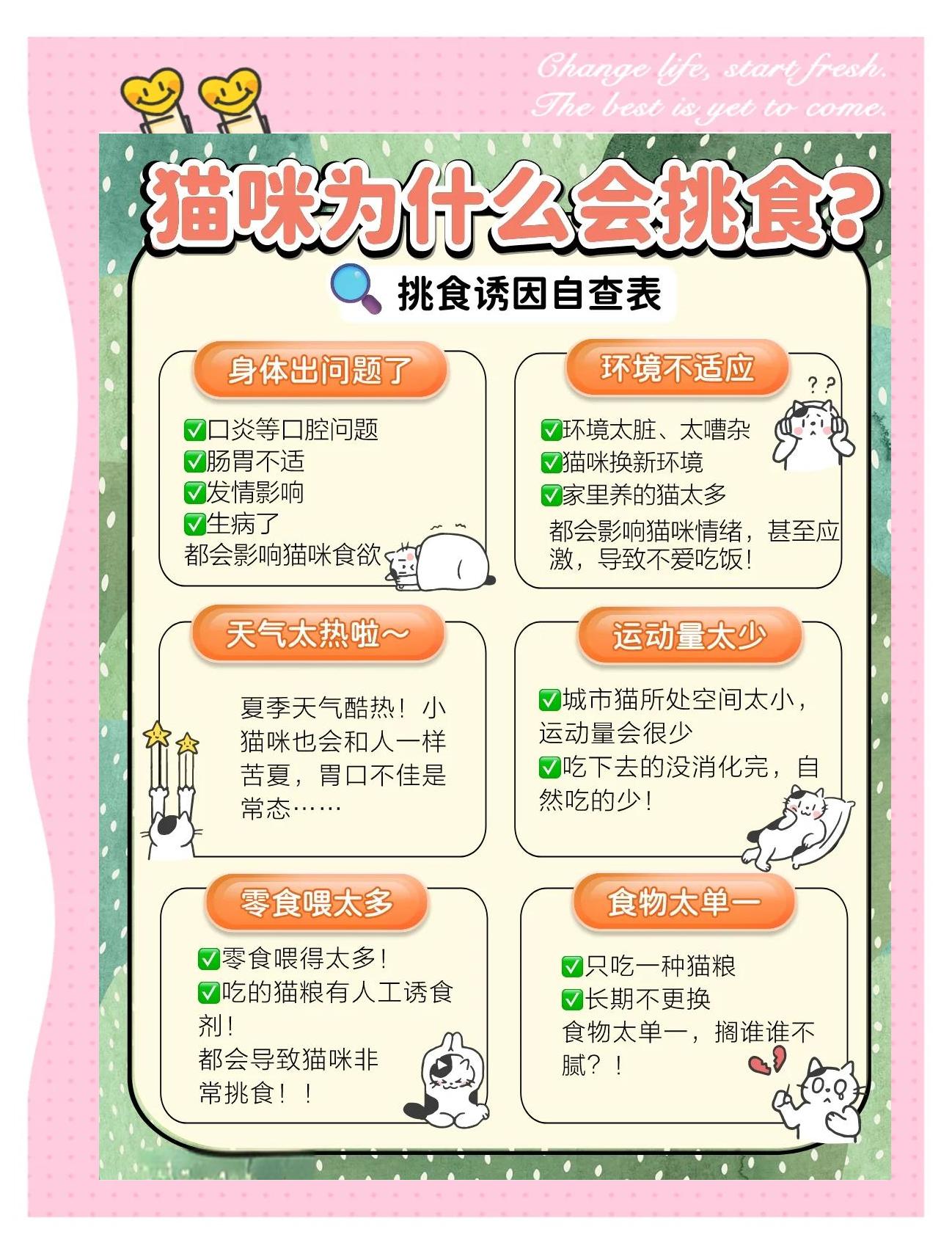 誘食劑真的就是洪水猛獸嗎?_貓咪干糧