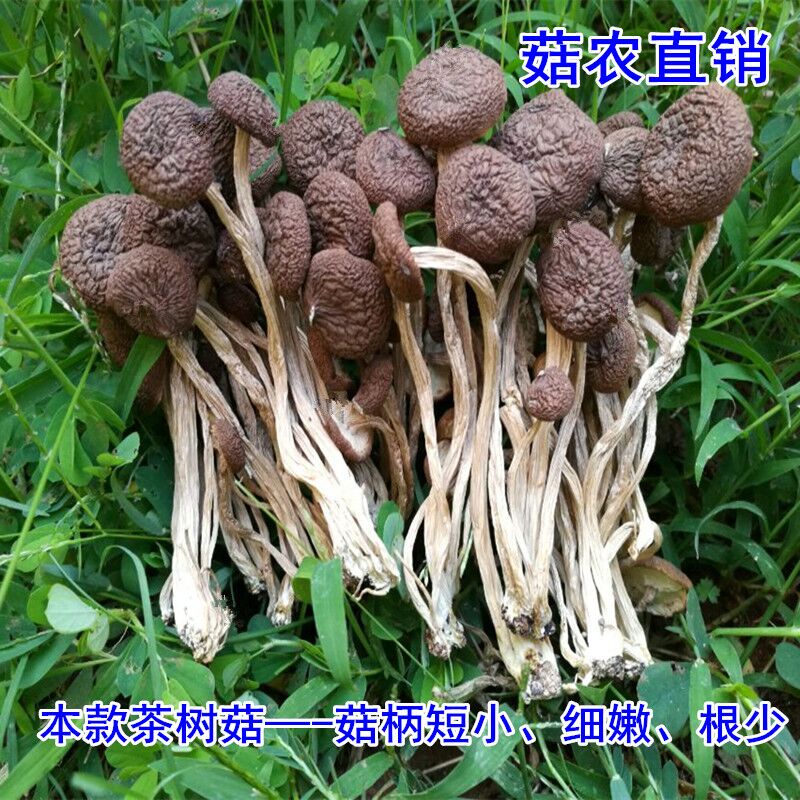 2025年4月27日 第54頁(yè)