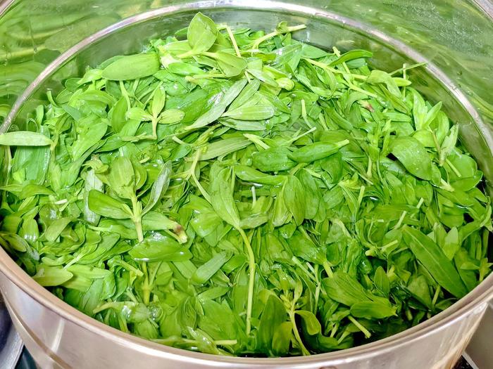 夏天第一“長壽菜”,全身是寶!_蔬菜