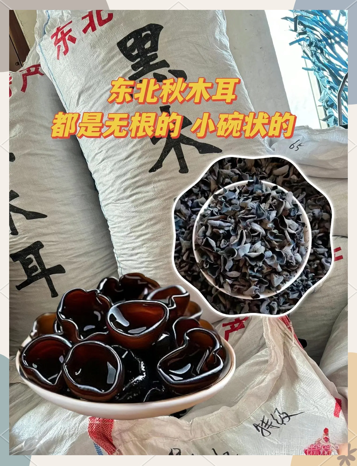 北大荒菌菇木耳怎么樣北大荒黑木耳絕了