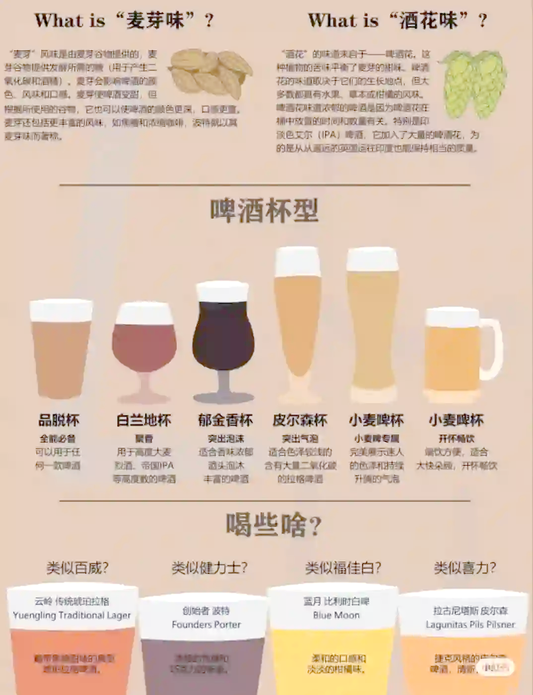 白啤酒和普通啤酒有什么區(qū)別?_啤酒
