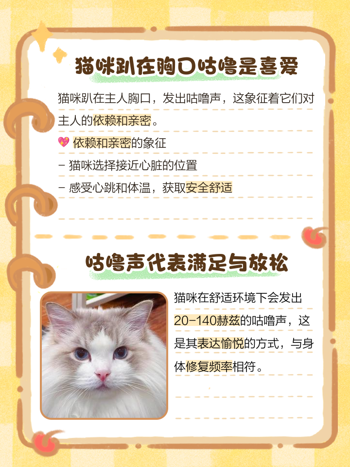 10種貓咪聲音解析,你懂多少?_貓咪