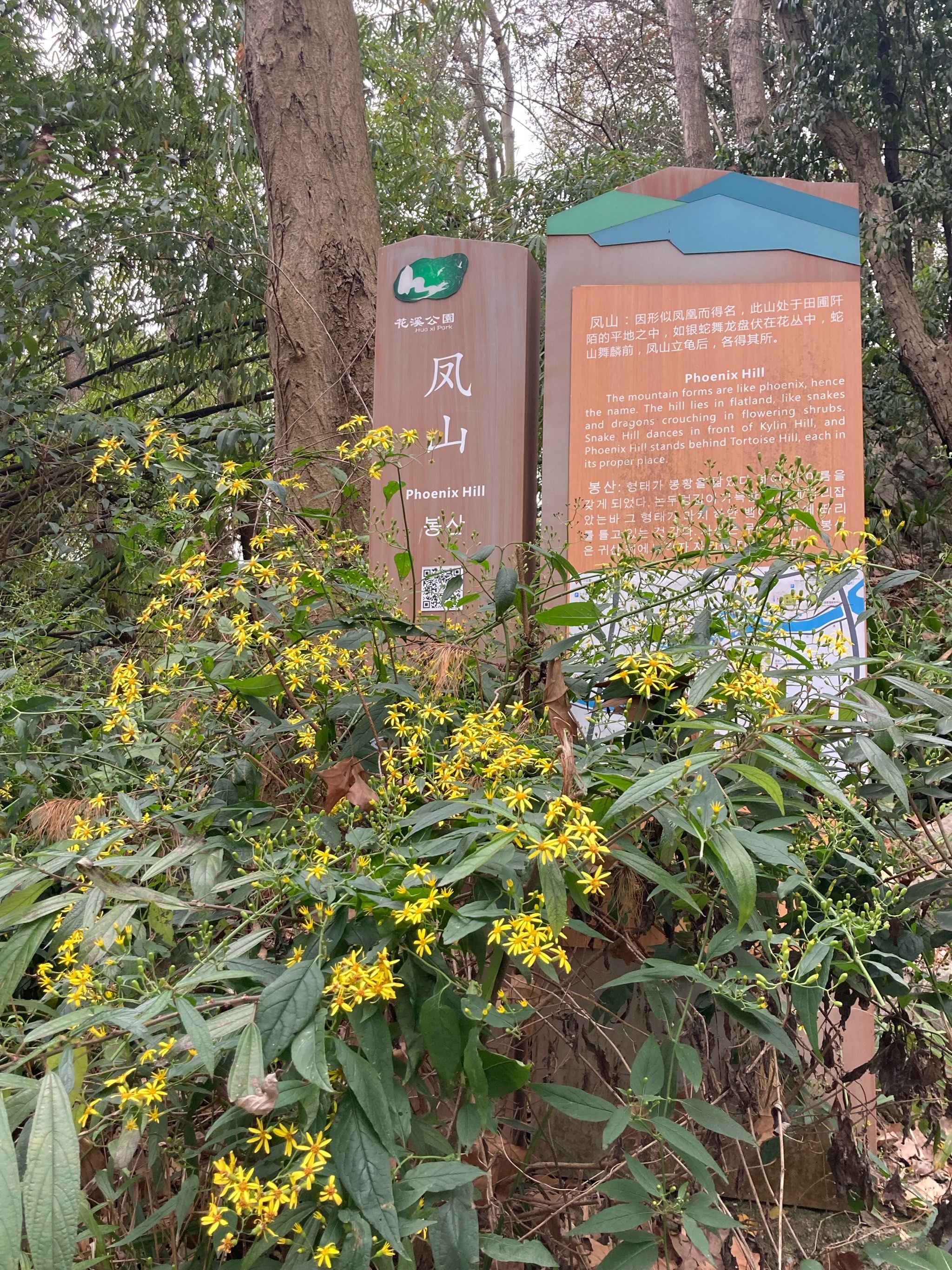 家門口的春日景:公園踏春記_國內(nèi)度假